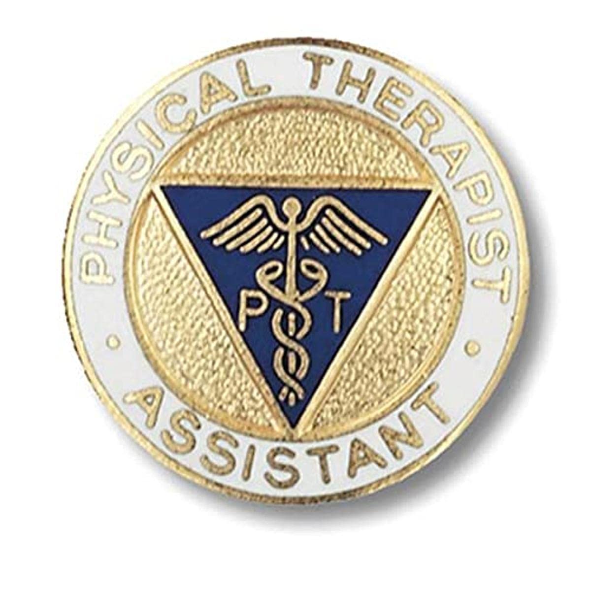 Prestige Medical Emblem Pin, Paramedic (Star of Life Design)