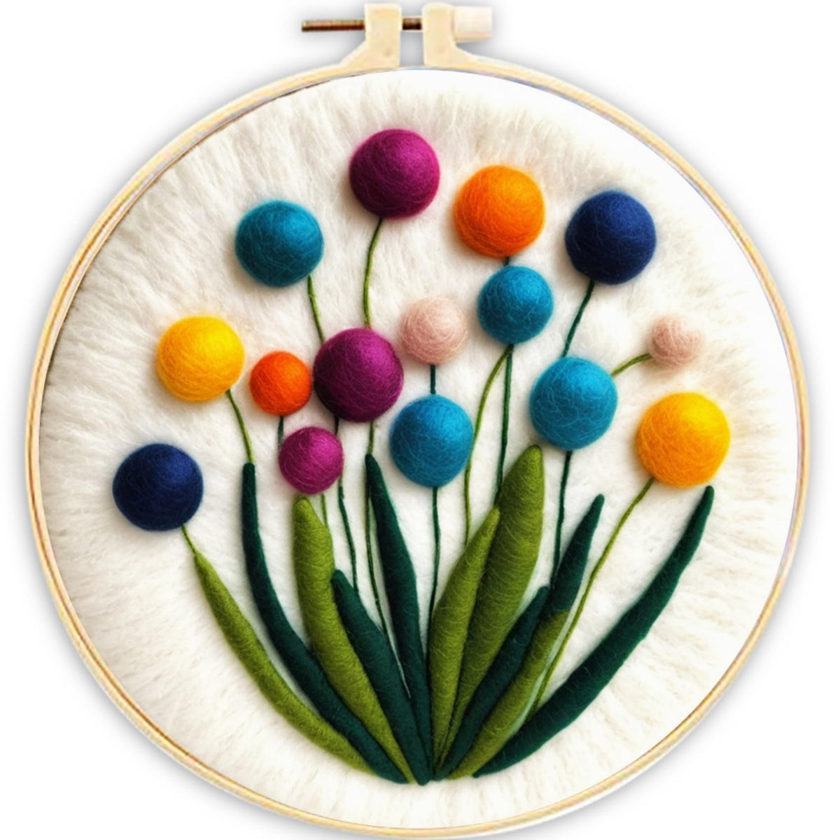 CaptainCrafts Needle Felting Kit for Adults Strawberries Pattern Home Decor