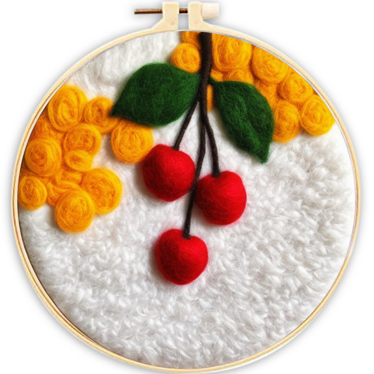 CaptainCrafts Needle Felting Kit for Adults Strawberries Pattern Home Decor