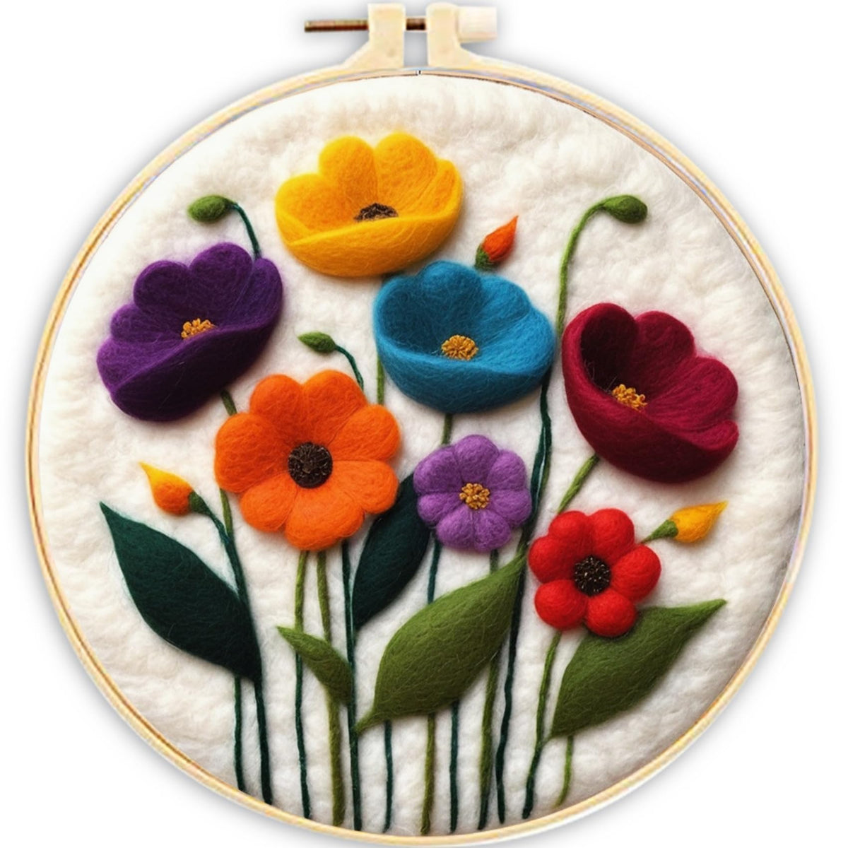 CaptainCrafts Needle Felting Kit for Adults Strawberries Pattern Home Decor