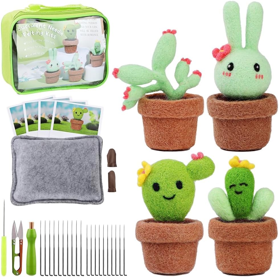 LOKUNN Needle Felting Kit, Cactus Needle Felting Starter Kit