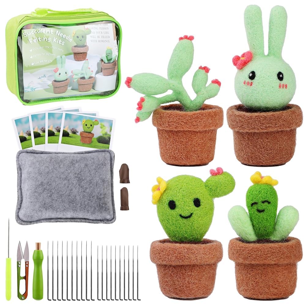 LOKUNN Needle Felting Kit, Cactus Needle Felting Starter Kit