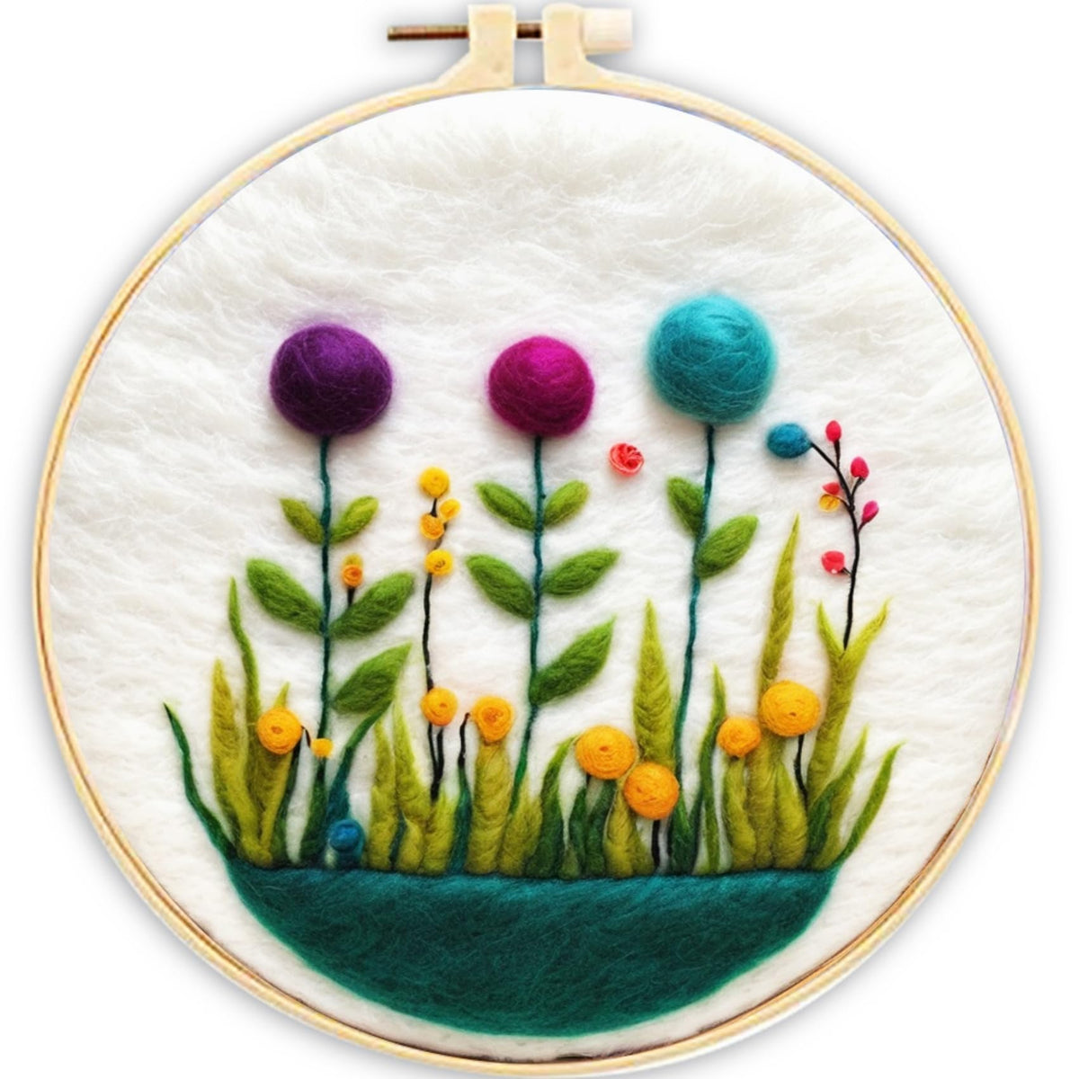 CaptainCrafts Needle Felting Kit for Adults Strawberries Pattern Home Decor