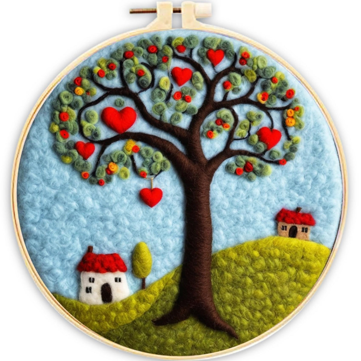 CaptainCrafts Needle Felting Kit for Adults Strawberries Pattern Home Decor