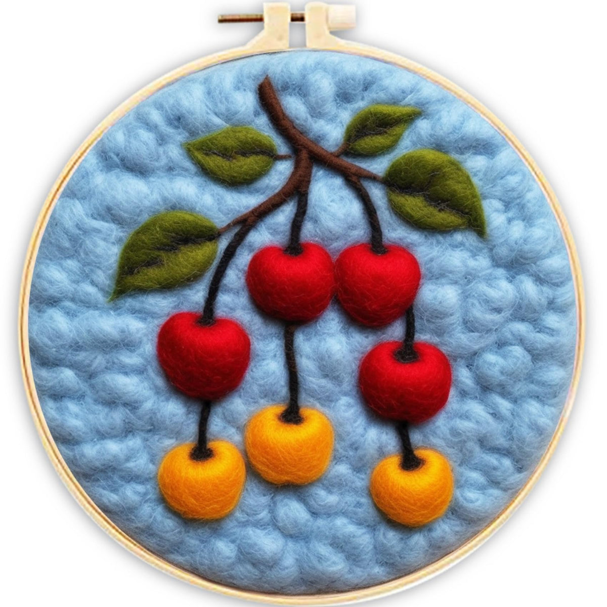 CaptainCrafts Needle Felting Kit for Adults Strawberries Pattern Home Decor