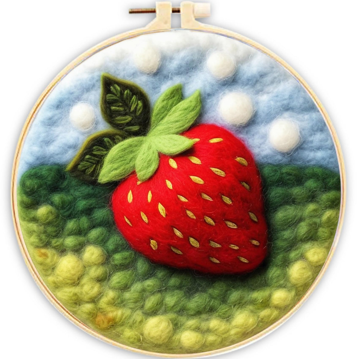 CaptainCrafts Needle Felting Kit for Adults Strawberries Pattern Home Decor