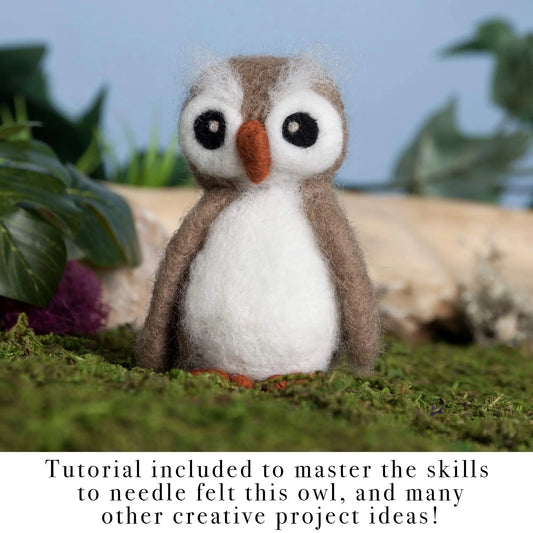 Complete Needle Felting Kit for Beginners - Wool, Needles, Pad & Leather Finger Guards - Complete USA Assembled Set